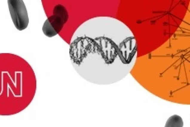 Cover image from a scientific journal. Photo.